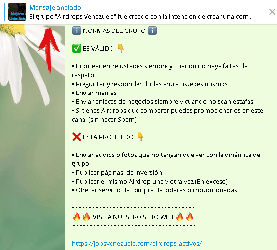 Fijar mensaje en grupo de Telegram