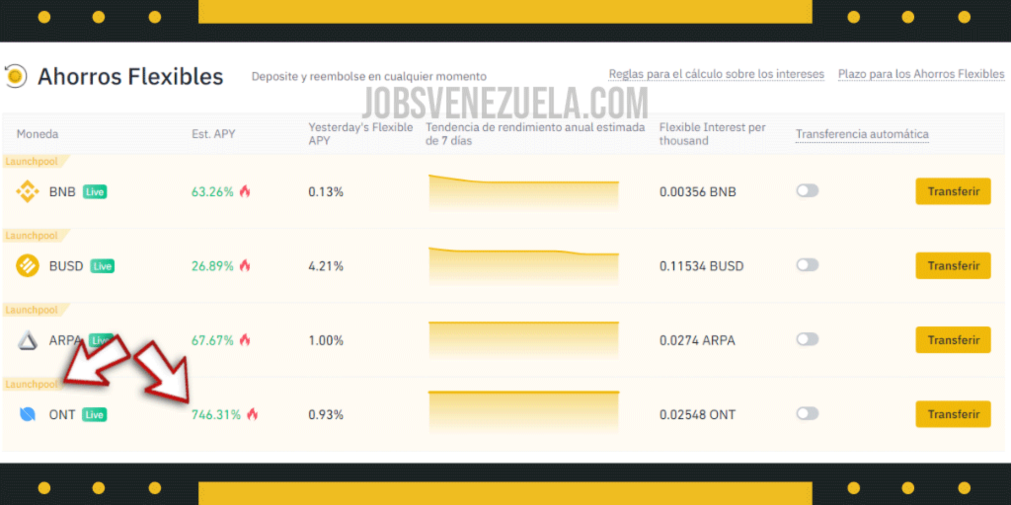 binance launchpad profit